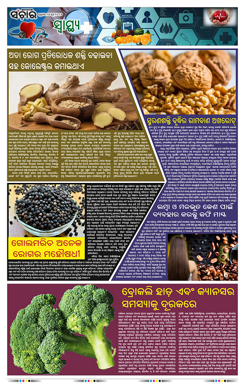 Sanchar-25-06-2026_11
